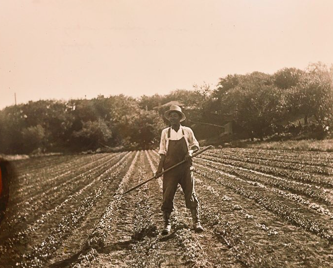 Image of chinese man in field - Montgomery Inn