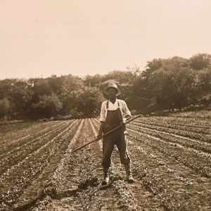 Image Of Chinese Man In Field - Montgomery Inn